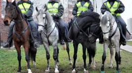 В Хакасии на службу заступила конная полиция