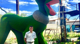 Столица Хакасии "приручила" огромного зеленого пса