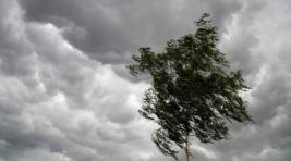 Погода в Хакасии 19 апреля: В республику врывается штормовой ветер