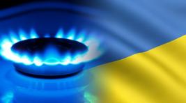Украина продает на аукционе последний российский газ