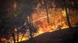 Лесные пожары на Родосе привели к эвакуации 19 тысяч человек