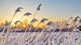 Погода в Хакасии 30 января: теплее не станет