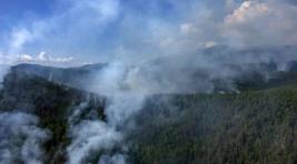 В Хабаровском крае растет число лесных пожаров