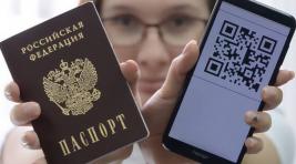 Минцифры предлагает приравнять аккаунт на «Госуслугах» к паспорту