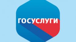 В России начался эксперимент по авторизации в Сети через Госуслуги