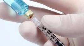 Вакцину против клещевого энцефалита закупили для Хакасии