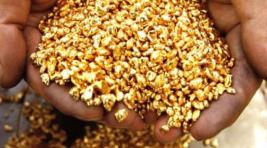 У «черного старателя» в Якутии изъяли 3 кг золота