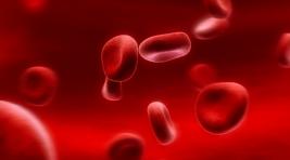 Ученые: пол ребенка зависит от возраста крови