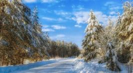 Погода в Хакасии 20 февраля: Легкий морозец