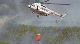 Пожароопасный сезон в России может начаться раньше обычного