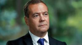 Медведев: Россия должна создать себе защитный кордон