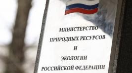 СП обнаружила в Минприроды нарушения на 74 миллиарда рублей