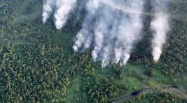 К ликвидации пожаров в Приамурье привлечено более 650 человек