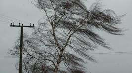 По Хакасии гуляет ураганный ветер, власти усиливают меры безопасности