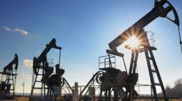 Россия выразила готовность резко нарастить добычу нефти