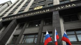 Депутаты Госдумы РФ приняли в первом чтении законопроект об отзыве ратификации ДВЗЯИ