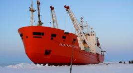 В четверг стартовала 61-я Российская антарктическая экспедиция