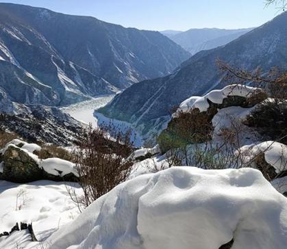 На территориях заповедников завершилась звериная "перепись населения"