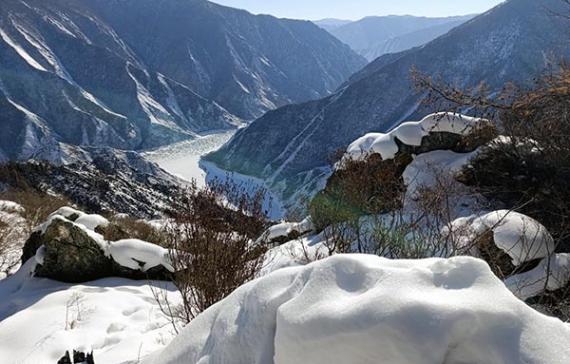 На территориях заповедников завершилась звериная "перепись населения"