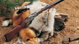 В воскресенье в Хакасии открывается сезон охоты на пушного зверя