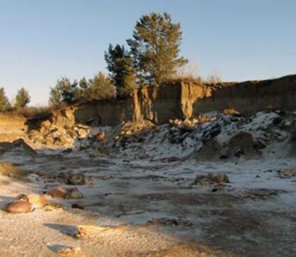 В Хакасии задержана банда, укравшая и забившая 14 коров у местного фермера