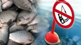 Власти Хакасии решили ограничить рыбалку в верховьях реки Абакан