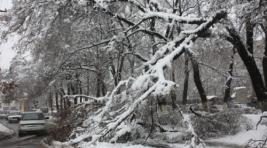 Засыпавший Хакасию снег принес первые проблемы (ФОТО, текстовая онлайн-трансляция)