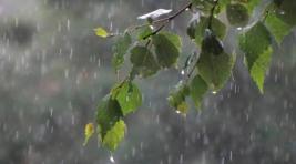 Погода в Хакасии 30 мая: Прохлада и мелкий дождь