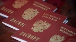 В Госдуме предложили расширить список оснований для лишения гражданства РФ