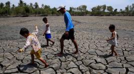 В Зимбабве введен режим национального бедствия из-за засухи