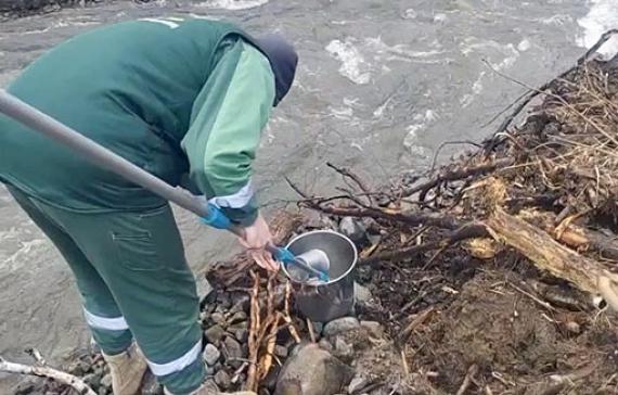 Экологи обнаружили загрязнение рек а Аскизском и Таштыпском районах Хакасии