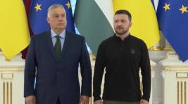 Эксперт: Орбан предупредил Зеленского о возможности потери территорий, населенных этническими венграми