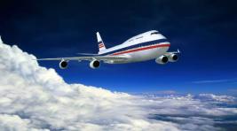 Дебошир заплатит 150 тыс. рублей за вынужденную посадку самолета