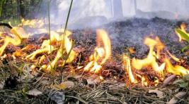Чтобы не было беды: выжигание сухой травы в Хакасии под запретом