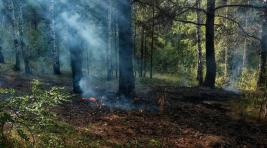 На территории Хакасии потушен лесной пожар