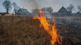 В Боградском районе потушили километр горящей травы