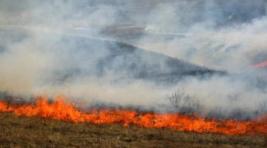 Пожарные в Хакасии ежедневно борются с многокилометровыми палами травы