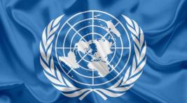 ООН не будет проверять причастность Штатов к уничтожению «Северных потоков»