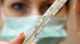 На Хакасию движется вторая волна гриппа и ОРВИ?