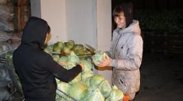 Фермеры Хакасии отгружают овощи для пострадавших от града ширинцев