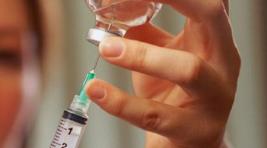 В Хакасию поступила вакцина от клещевого энцефалита