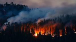В Туве ввели режим ЧС из-за угрозы лесных пожаров