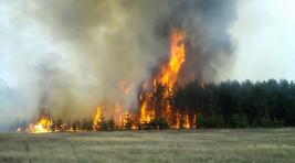 Хакасия, внимание: из-за лесных пожаров в Сибири введен режим ЧС