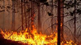Дым от лесных пожаров накрыл Чукотку