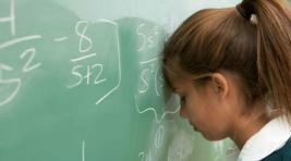 В Хакасии один школьник сдал ЕГЭ по профильной математике на 100 баллов