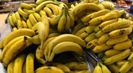 Эквадорские бананы на российском рынке будут заменены индийскими