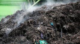 Карьер растительных отходов в Подсинем закроют на рекультивацию