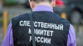 Следком сообщил о задержании ещё одного боевика группы Басаева