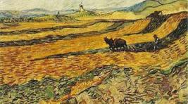 Картину Ван Гога, написанную им в психушке, продали за 81,3 млн долларов
