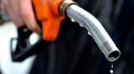 ФАС не ждет нового витка роста цен на бензин
